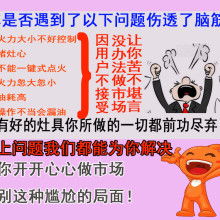 车载MP3技术转让 成都远识科技发展有限责任公司的主营业务与市场前景